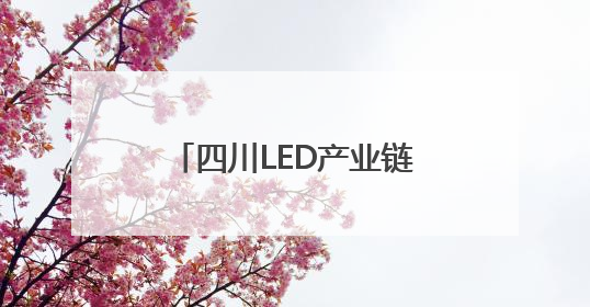 四川LED产业链主要承载地如何“追光逐电”？网络名人走进攀枝花找答案｜网络名人四川行