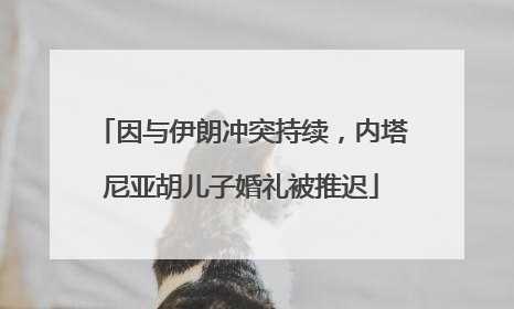 因与伊朗冲突持续，内塔尼亚胡儿子婚礼被推迟