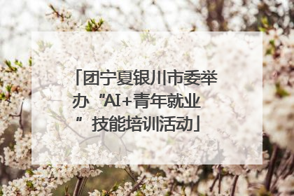 团宁夏银川市委举办“AI+青年就业”技能培训活动