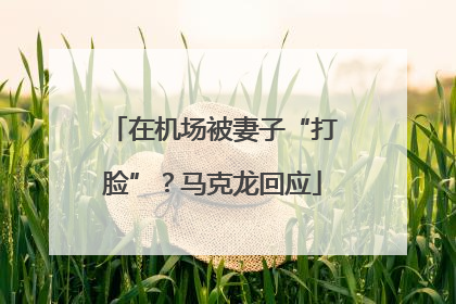 在机场被妻子“打脸”？马克龙回应