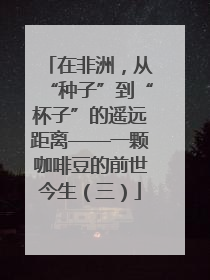 在非洲，从“种子”到“杯子”的遥远距离——一颗咖啡豆的前世今生（三）
