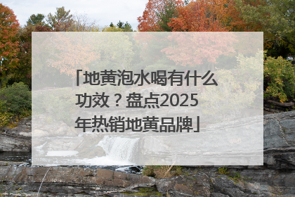 地黄泡水喝有什么功效？盘点2025年热销地黄品牌