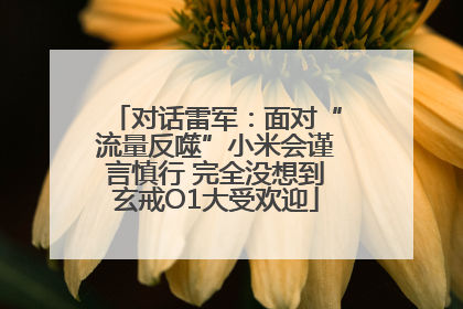 对话雷军：面对“流量反噬”小米会谨言慎行 完全没想到玄戒O1大受欢迎