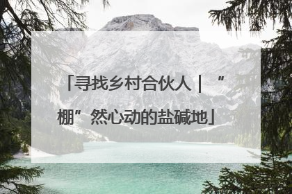 寻找乡村合伙人｜“棚”然心动的盐碱地