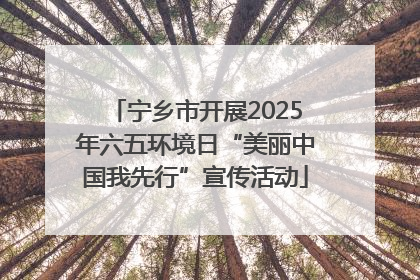 宁乡市开展2025年六五环境日“美丽中国我先行”宣传活动