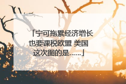 宁可拖累经济增长也要课税欧盟 美国这次图的是……