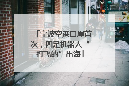宁波空港口岸首次，四足机器人“打飞的”出海