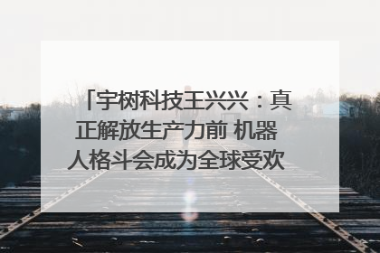 宇树科技王兴兴：真正解放生产力前 机器人格斗会成为全球受欢迎的赛事｜科技观察