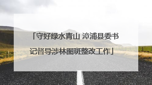 守好绿水青山 漳浦县委书记督导涉林图斑整改工作