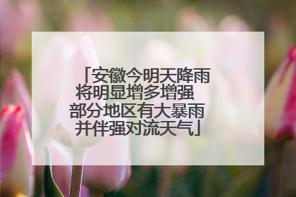安徽今明天降雨将明显增多增强 部分地区有大暴雨并伴强对流天气