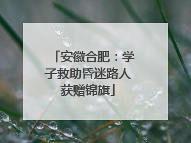 安徽合肥：学子救助昏迷路人获赠锦旗
