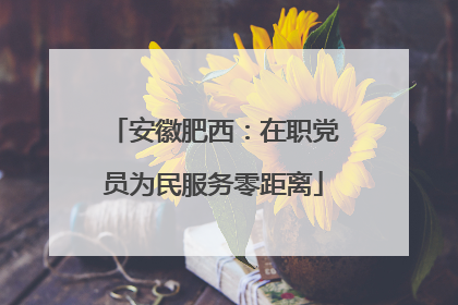 安徽肥西：在职党员为民服务零距离