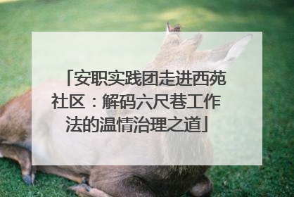 安职实践团走进西苑社区：解码六尺巷工作法的温情治理之道