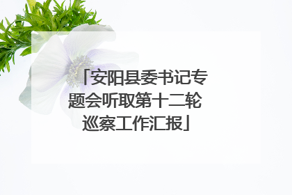 安阳县委书记专题会听取第十二轮巡察工作汇报