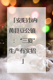 安阳市内黄县豆公镇：“三夏”生产有实招