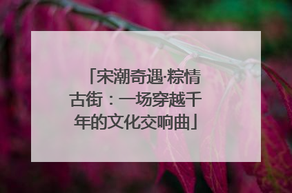 宋潮奇遇·粽情古街：一场穿越千年的文化交响曲