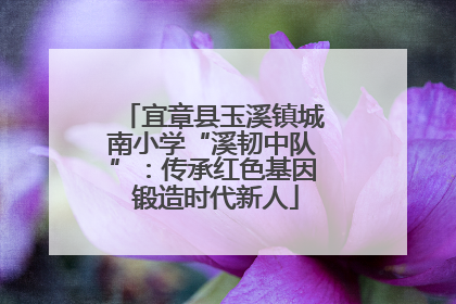宜章县玉溪镇城南小学“溪韧中队”：传承红色基因 锻造时代新人