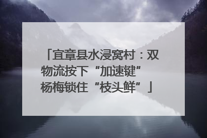 宜章县水浸窝村：双物流按下“加速键” 杨梅锁住“枝头鲜”