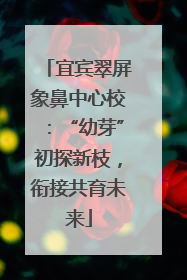 宜宾翠屏象鼻中心校：“幼芽”初探新枝，衔接共育未来