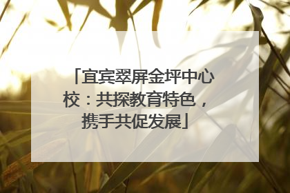 宜宾翠屏金坪中心校：共探教育特色，携手共促发展