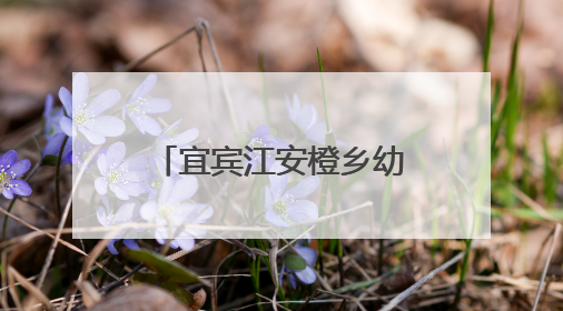 宜宾江安橙乡幼儿园第五届大班篮球联赛圆满落幕