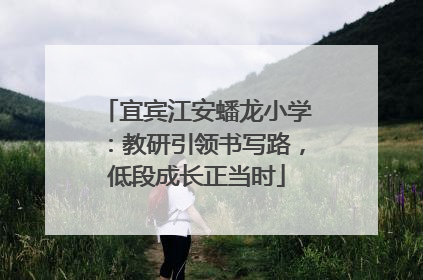 宜宾江安蟠龙小学：教研引领书写路，低段成长正当时