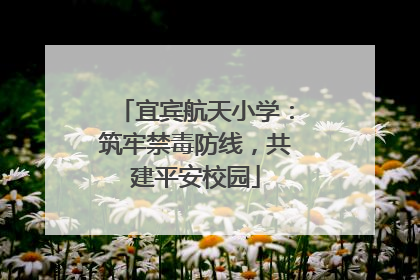 宜宾航天小学：筑牢禁毒防线，共建平安校园