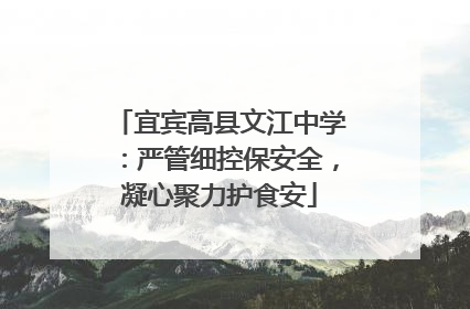 宜宾高县文江中学：严管细控保安全，凝心聚力护食安