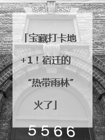 宝藏打卡地+1！宿迁的“热带雨林”火了