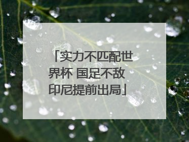 实力不匹配世界杯 国足不敌印尼提前出局