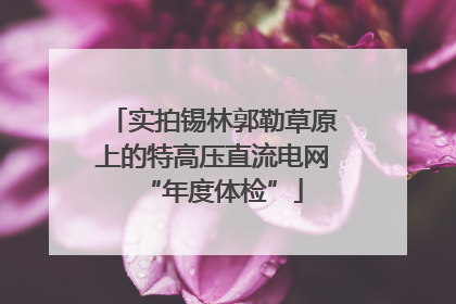 实拍锡林郭勒草原上的特高压直流电网“年度体检”