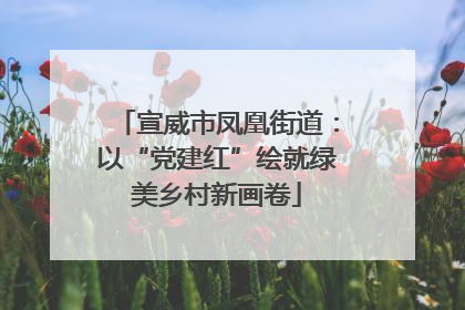宣威市凤凰街道：以“党建红”绘就绿美乡村新画卷