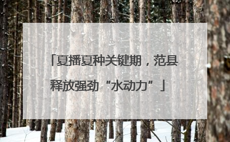 夏播夏种关键期，范县释放强劲“水动力”