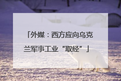 外媒：西方应向乌克兰军事工业“取经”