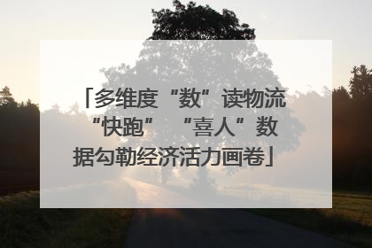 多维度“数”读物流“快跑” “喜人”数据勾勒经济活力画卷