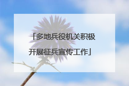 多地兵役机关积极开展征兵宣传工作