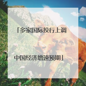 多家国际投行上调中国经济增速预期