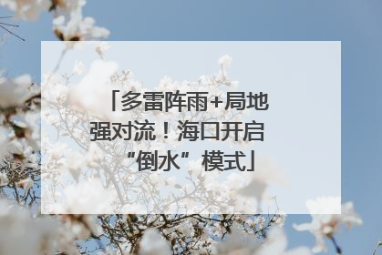 多雷阵雨+局地强对流！海口开启“倒水”模式