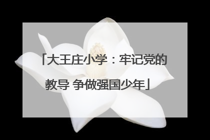 大王庄小学：牢记党的教导 争做强国少年