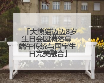大熊猫迈迈8岁生日会圆满落幕 端午传统与国宝生日完美融合