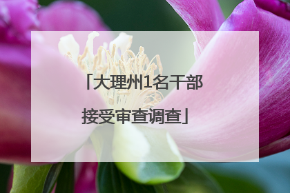 大理州1名干部接受审查调查