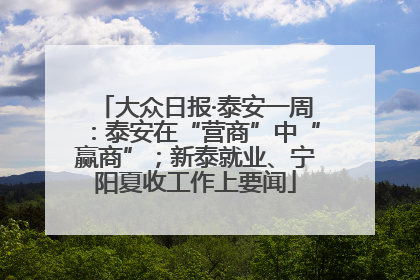 大众日报·泰安一周：泰安在“营商”中“赢商”；新泰就业、宁阳夏收工作上要闻