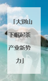大别山下崛起茶产业新势力