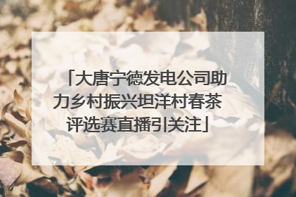 大唐宁德发电公司助力乡村振兴坦洋村春茶评选赛直播引关注