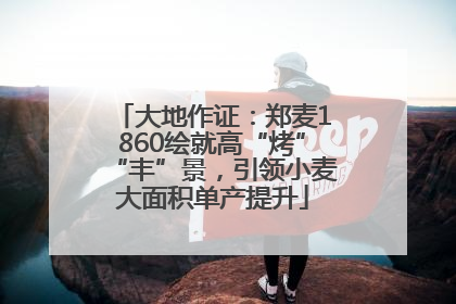 大地作证：郑麦1860绘就高“烤”“丰”景，引领小麦大面积单产提升
