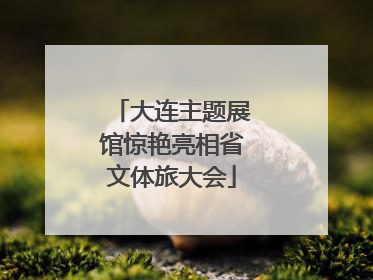 大连主题展馆惊艳亮相省文体旅大会
