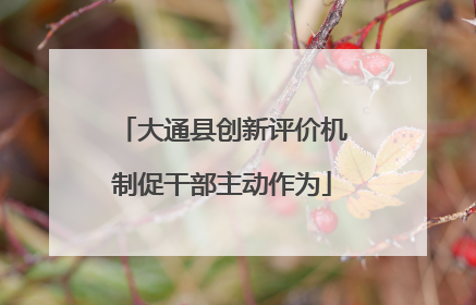 大通县创新评价机制促干部主动作为