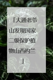 大通老爷山发现国家二级保护植物山西杓兰
