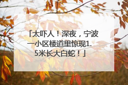 太吓人！深夜，宁波一小区楼道里惊现1.5米长大白蛇！