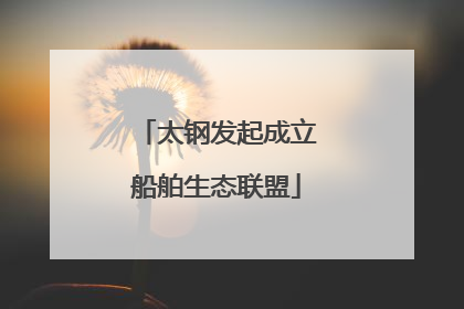 太钢发起成立船舶生态联盟